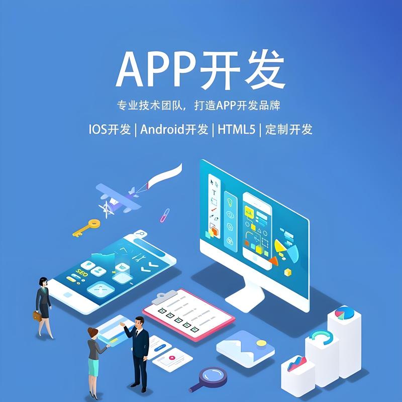 软件定制开发